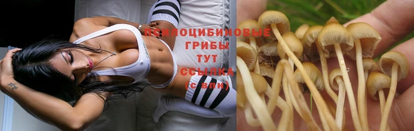 кокаин Горнозаводск