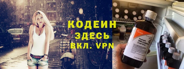 мдпв Горно-Алтайск